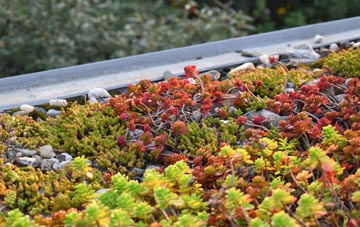 the cost of Cadbury green roof installation